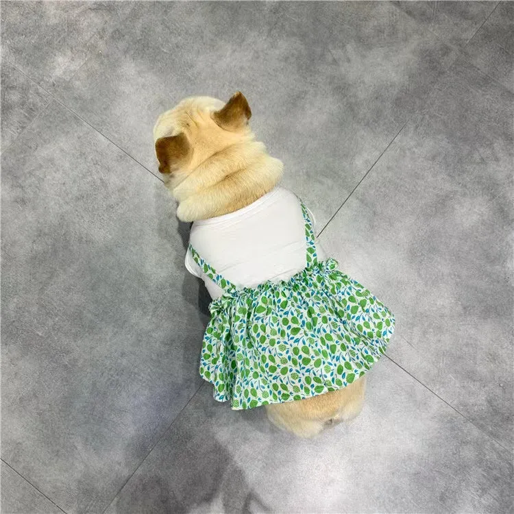 Strappy Puppy Dress